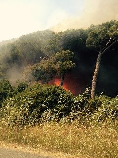 Legambiente, non scherzate con il fuoco