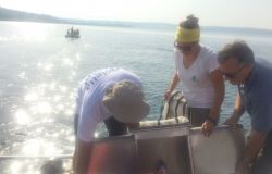 Bracciano, promuovere il Contratto di lago