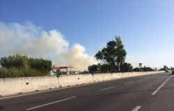 Ostia, incendi dolosi, serve piano gestione Riserva del Litorale