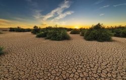 Agricoltura, ammontano a 280 milioni i danni nel Lazio