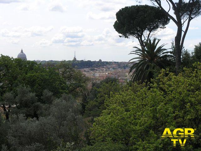 Castelfusano, continua la mobilitazione dei cittadini Castelfusano, continua la mobilitazione dei cittadini