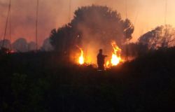 Castelfusano, nuovo rogo nonostante il divieto di accesso