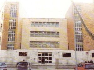 Ostia, rimozione dei platani su corso Duca di Genova