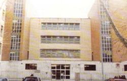 Ostia, rimozione dei platani su corso Duca di Genova