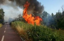 Ostia, perchè è stata esclusa la pineta della acque rosse dalle misure anti-piromani?