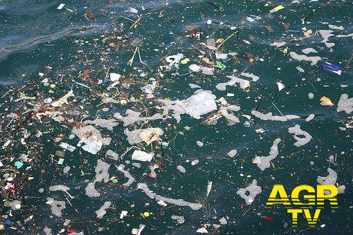 Mare inquinato, dopo la denuncia degli ambientalisti, tutto resta come prima...