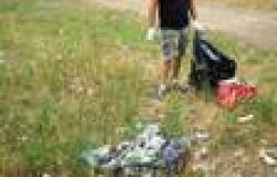 Ostia, bonifica della pineta delle Acque rosse