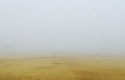 Ostia, giardini..... in giallo