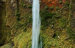 Ostia, il caos delle fontanelle