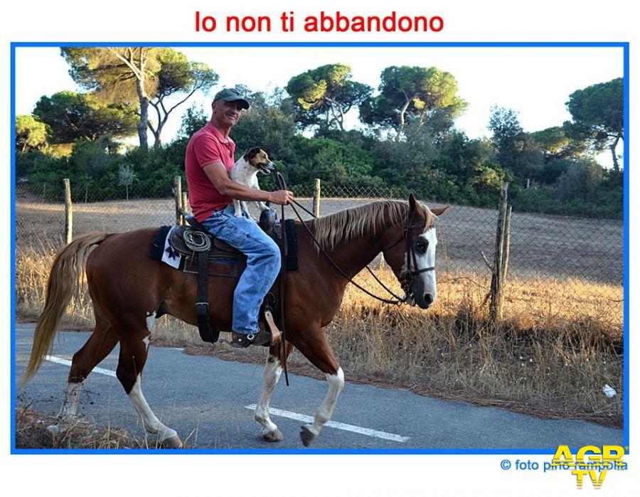 L'uomo, il cane ed il ...cavallo L'uomo, il cane ed il ...cavallo