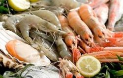 Ostia, nasce la filiera corta del mare