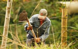 Ostia, l'Anfass testa le qualità di disabili intellettivi in agricoltura