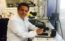 Chikungunya nel Lazio, impariamo a conoscerla