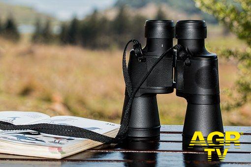 Ostia, Eurobirdwatch al CHM Ostia, Eurobirdwatch al CHM
