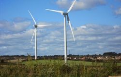 Aziende agricole, nuovi presidi per la tutela dell'ambiente