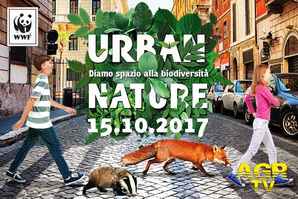 Urban natura,la biodiversità in città