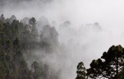Castelfusano nonostante i controlli, esposta al degrado ed al rischio incendio