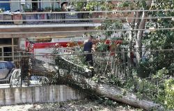 Fiumicino, vento forte e pioggia, Protezione civile in campo fino alle tre del mattino