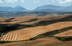 Green Italy 2017
