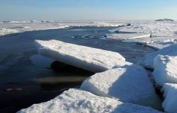 2017, anno horribilis per il pianeta Terra