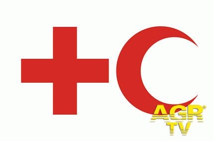 Federazione internazionale delle società di Croce Rossa e Mezzaluna Rossa (Firc)