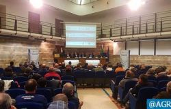 Nuovo Codice  della Strada