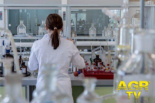 Ospedale Anzio, laboratorio d'analisi trasferito a Latina Ospedale Anzio, laboratorio d'analisi trasferito a Latina
