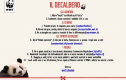 WWF, un Natale sostenibile è sempre possibile