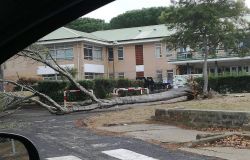 SI, subito un piano ordinario di manutenzione verde pubblico