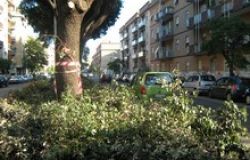 Potature, aperto un altro ''fronte''