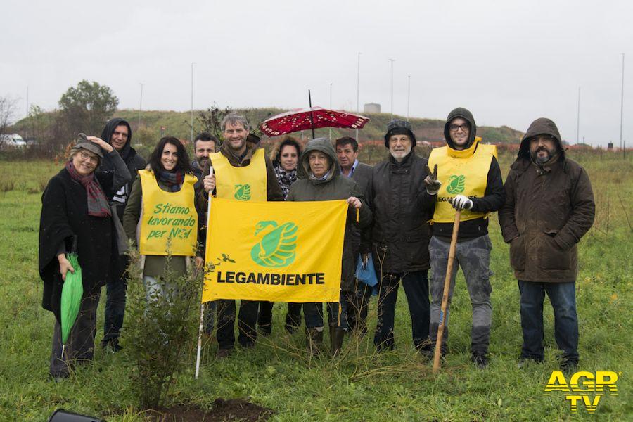 Laurentina, piantati nuovi alberi dai volontari