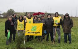 Laurentina, piantati nuovi alberi dai volontari
