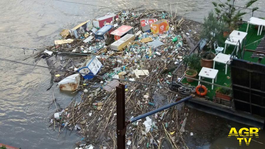 Marevivo, sul Tevere un'isola di rifiuti Marevivo, sul Tevere un'isola di rifiuti