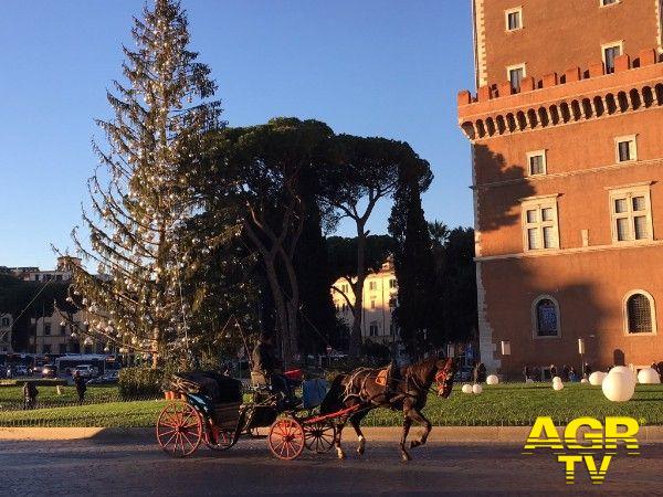 Oggi, l'addio a Spelacchio