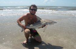 Ostia, il polo universitario del mare è una grande occasione