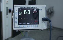 Cuore e diagnostica per immagini, i progressi della scienza presentati a Pisa