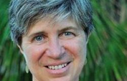 Ostia, porte aperte del Municipio ai cittadini