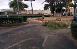 Manutenzione del verde, quali le priorità del M5S nel X Municipio?