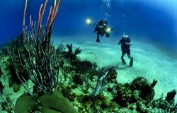 Ostia, nasce un Hub delle professioni del mare