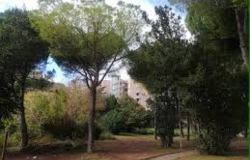 Fosso della Cecchignola, crescono le tutele ambientali Fosso della Cecchignola, crescono le tutele ambientali