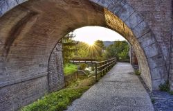 Tevere, serve un'azione concreta per il rilancio