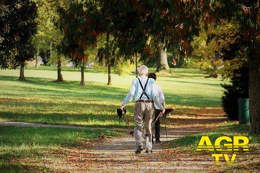 Elezioni, appello di Happy Ageing: anziani andate a votare Elezioni, appello di Happy Ageing: anziani andate a votare