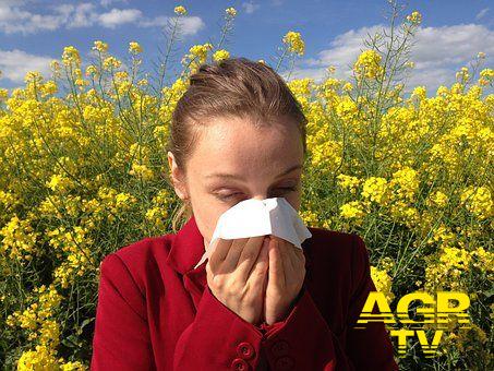 Allergie, come difendersi...dall'arrivo della Primavera