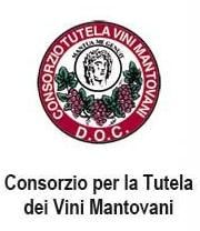 I vini mantovani sono on line da dicembre