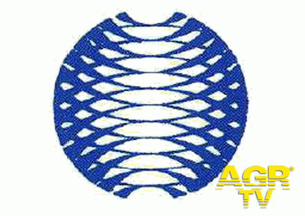 Associazione Italiana di Scienze dell’Atmosfera e Meteorologia Associazione Italiana di Scienze dell’Atmosfera e Meteorologia