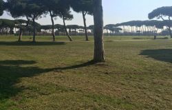 Roma, per la cura del verde di giardini e parchi, sottoscritto protocollo d'intesa con l'Ordine degli Agronomi Forestali