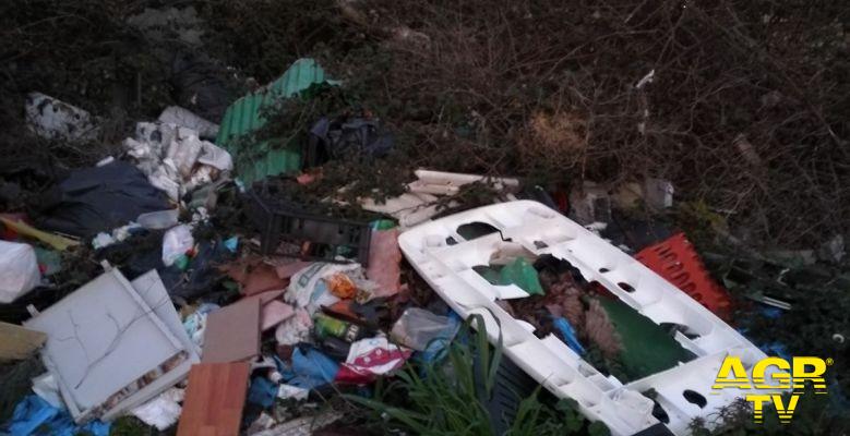 Ostia, Acque rosse una pineta da salvaguardare Ostia, Acque rosse una pineta da salvaguardare