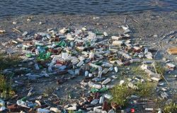 Il fiume salva il mare...per l'Earth day