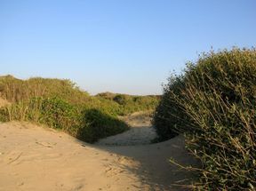 Passoscuro, passeggiate di salute tra le dune costiere e l'agro romano