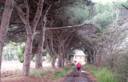 Miti, memorie e le biodiversità del Tevere, il X Municipio si fa bello